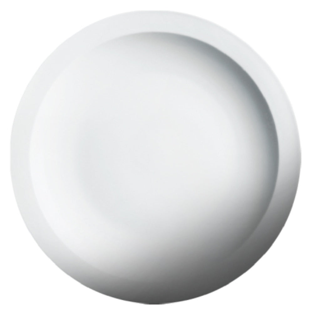 Cameo China 210-141 Imperial Rim Plate 14" Dia. X 1-7/8"H (35.5 Cm X 4.7 Cm)