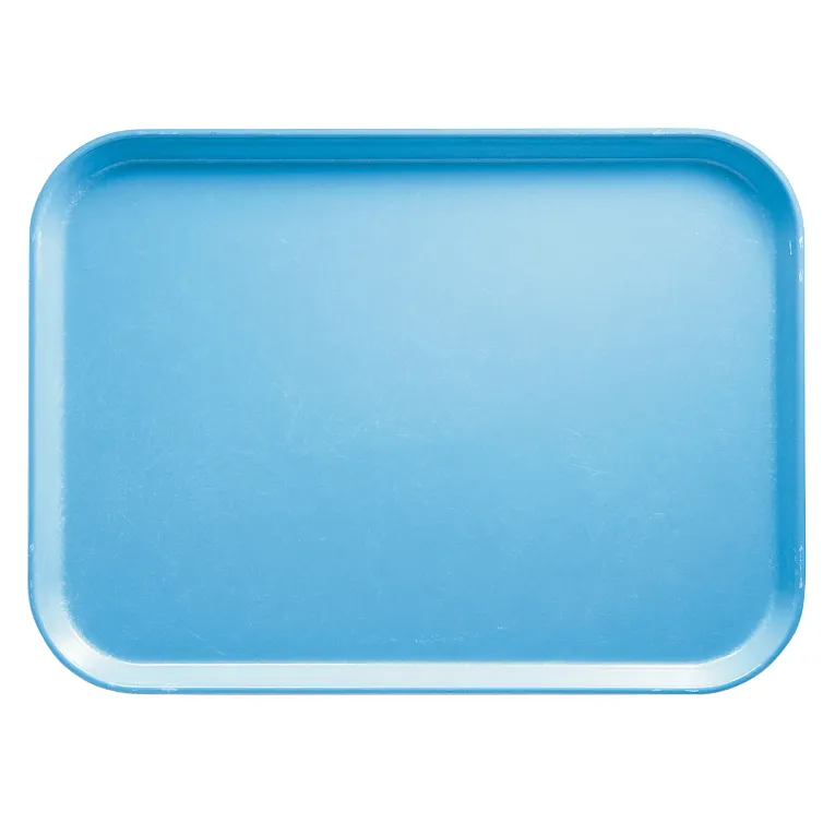 A rectangular, flat Camtray in Robin Egg Blue, measuring 14 x 18 in, with rounded corners and slightly raised edges. The smooth, unadorned tray is shown from above against a white background.