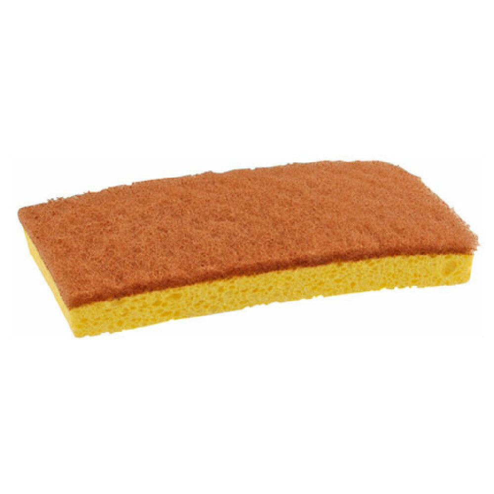 Private Label 1591032 Sponge Scrubbing Walnutpad