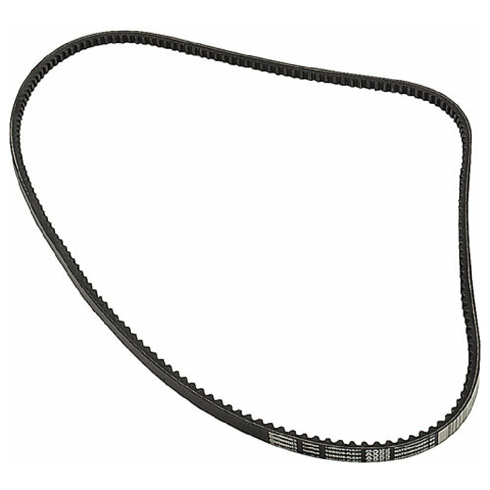 Private Label 1591152 Belt Ax55