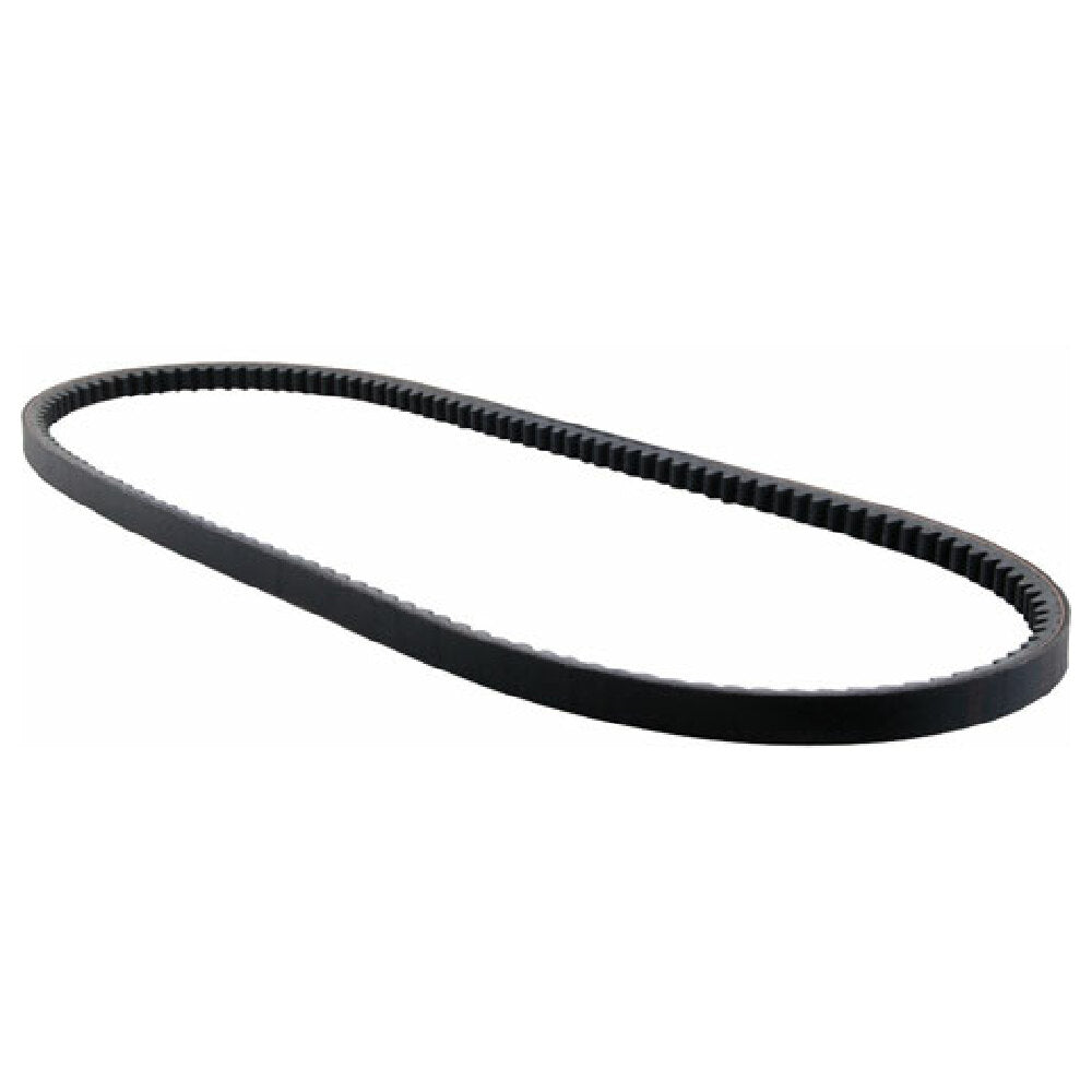 Private Label 1591154 Belt Bx50