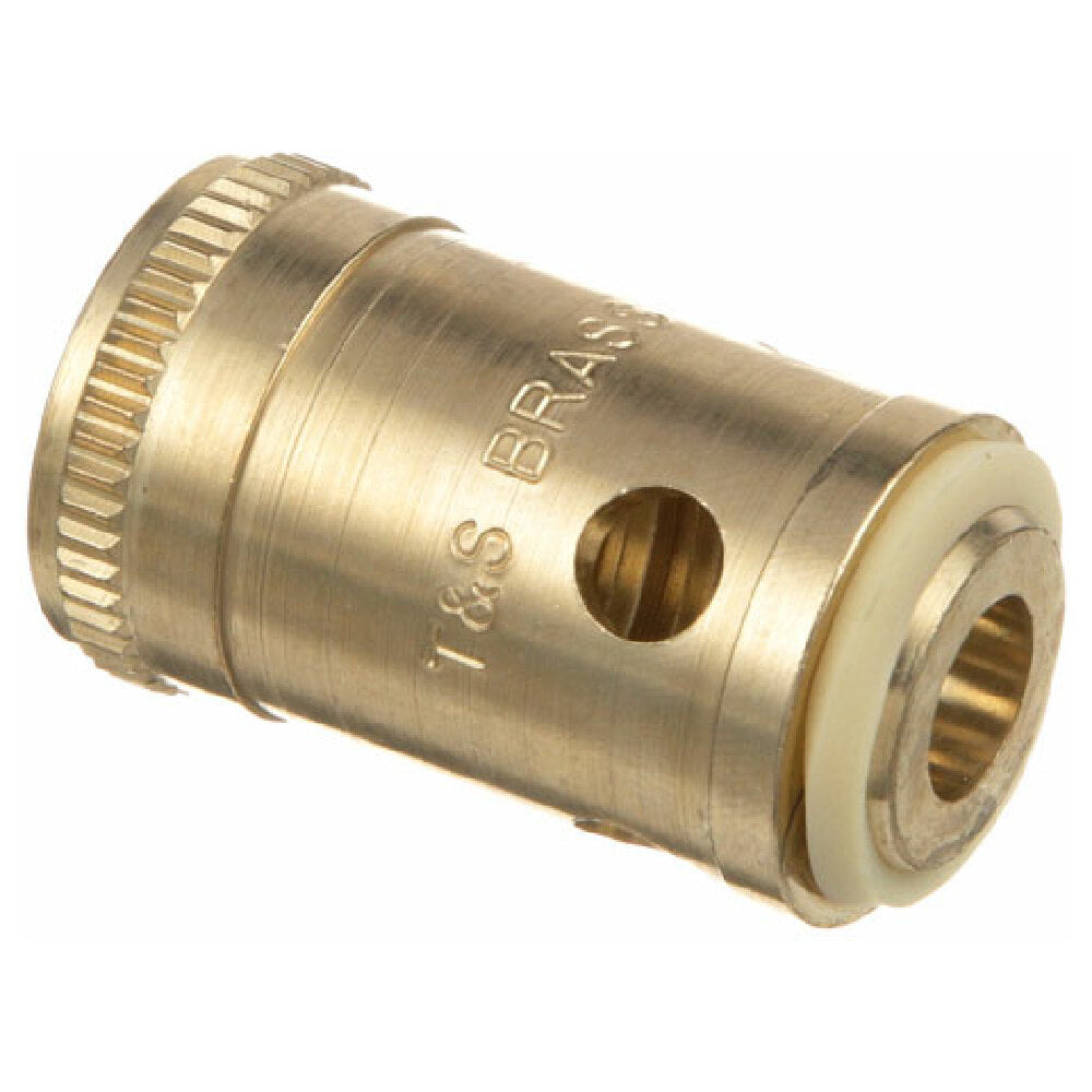 T&S Brass 000789-20 Removable Insert Cold