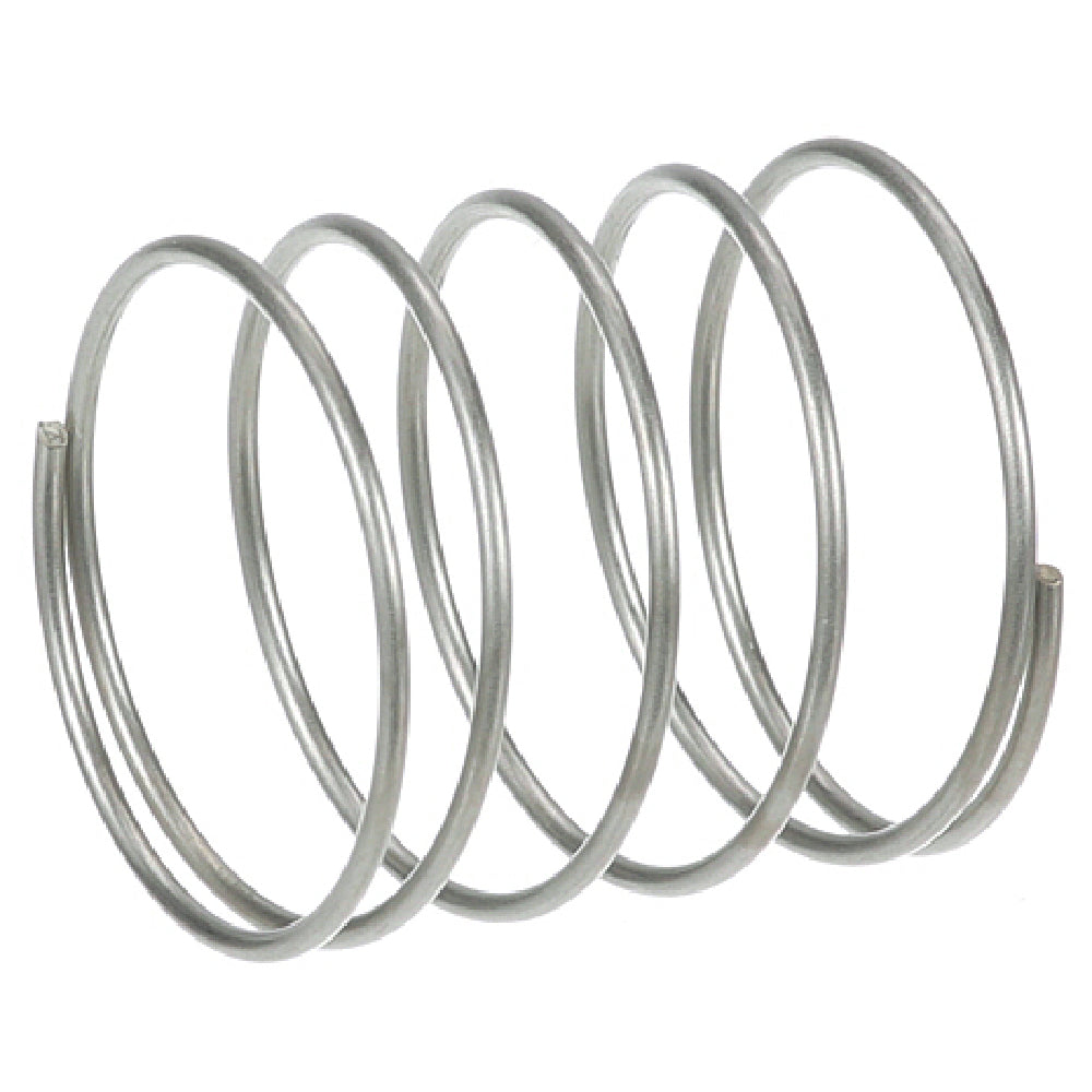 AllPoints 264096 Spring (check Valve)