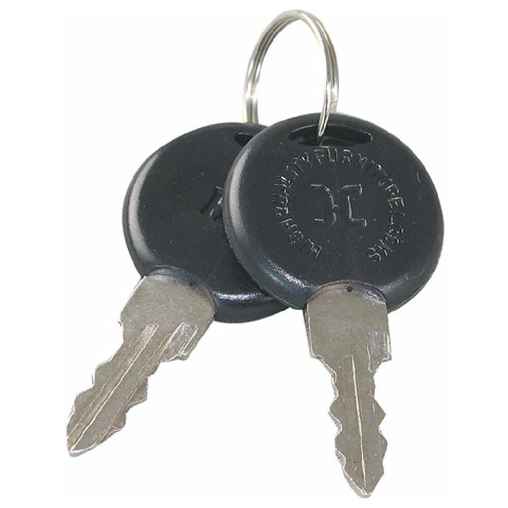 Turbo Air P998200100 Keys (pair)