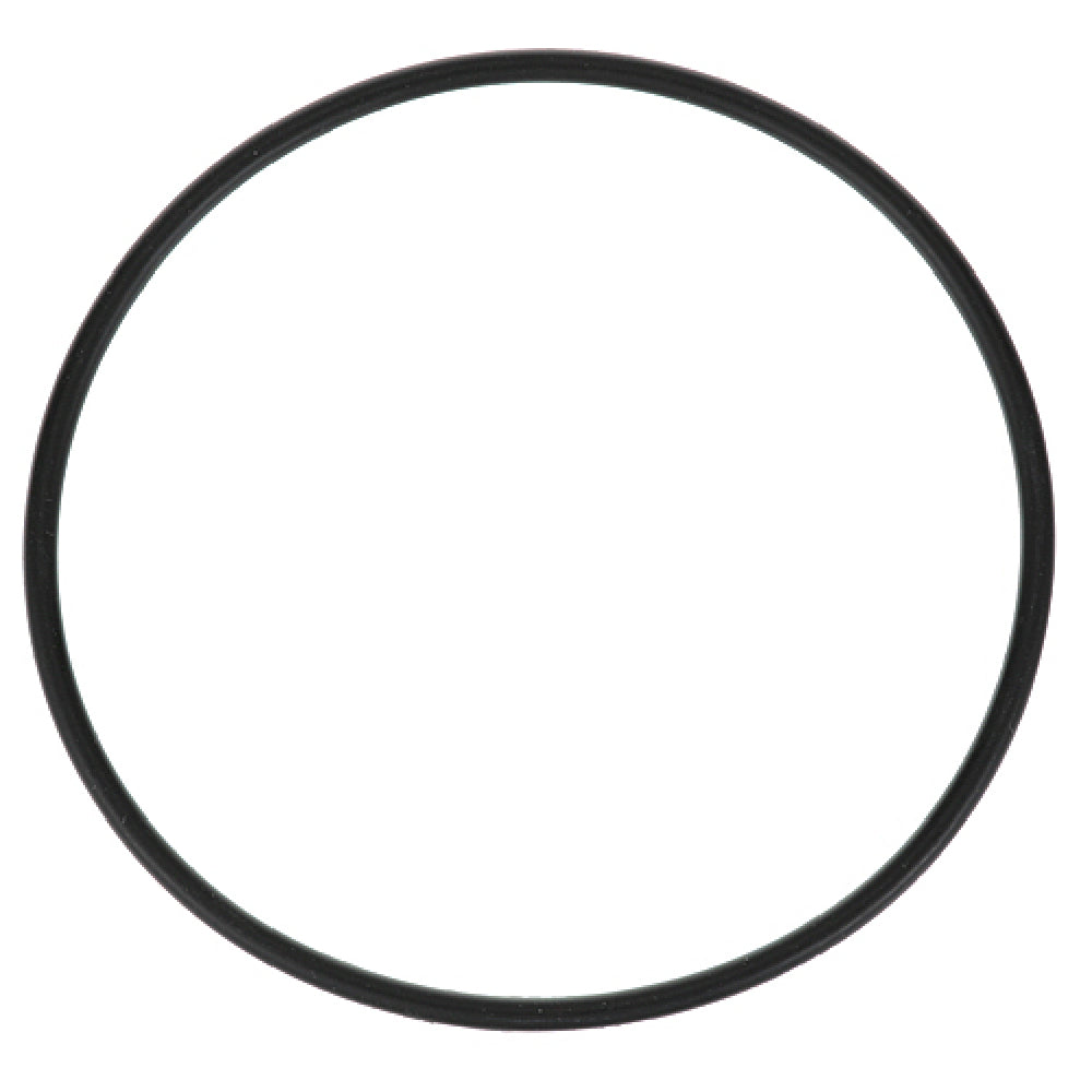 Everpure 3071-19 O Ring