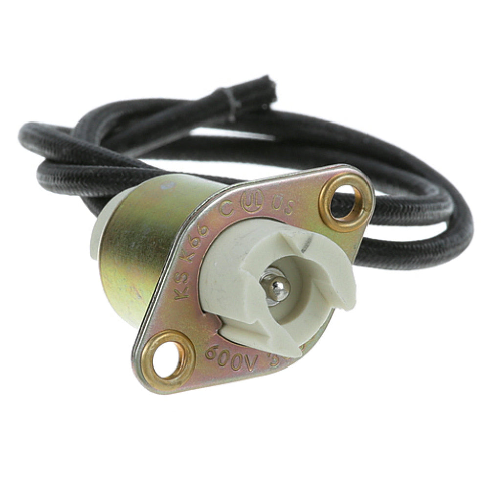 APW -3100801 Element Socket