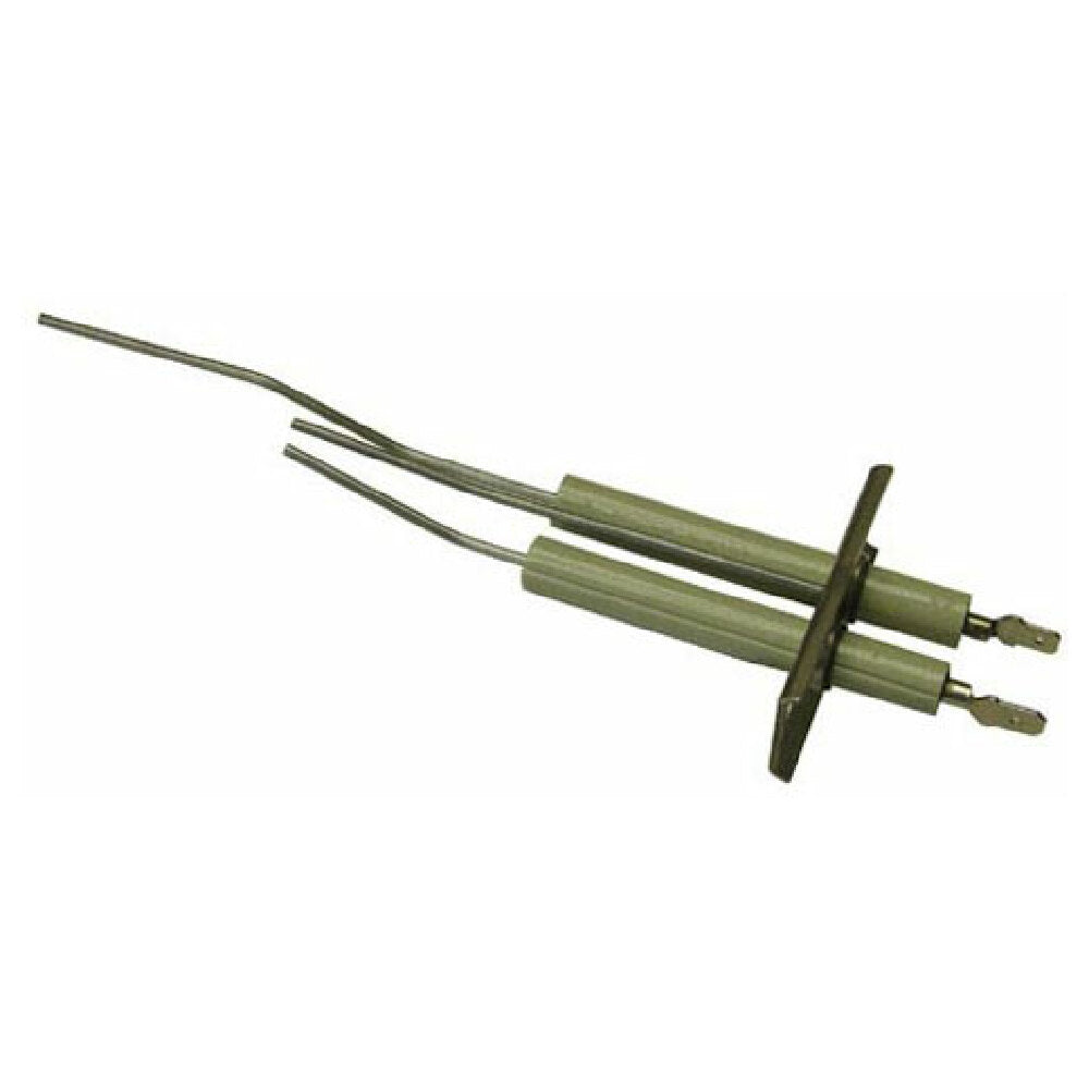 Lang 80302-05 Electrode Assy