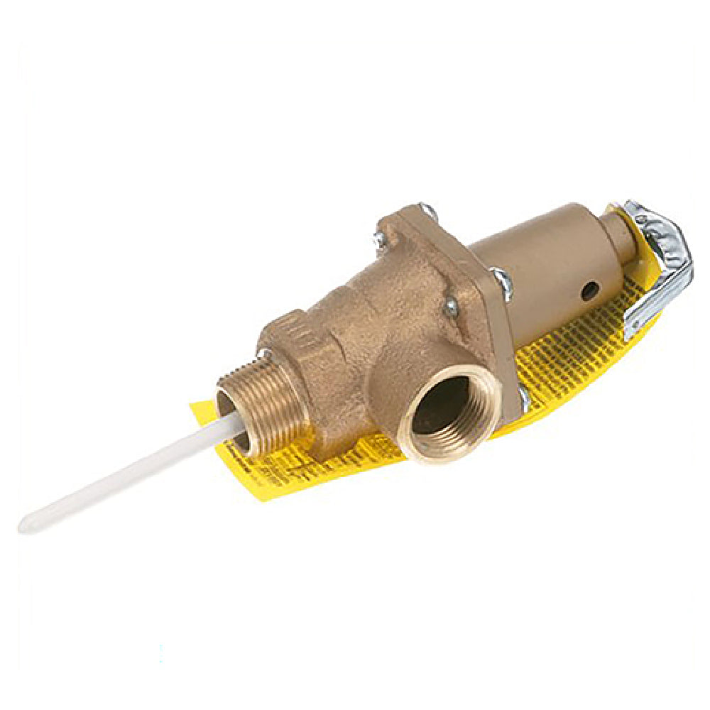 AllPoints 561031 P T Relief Valve 3/4"