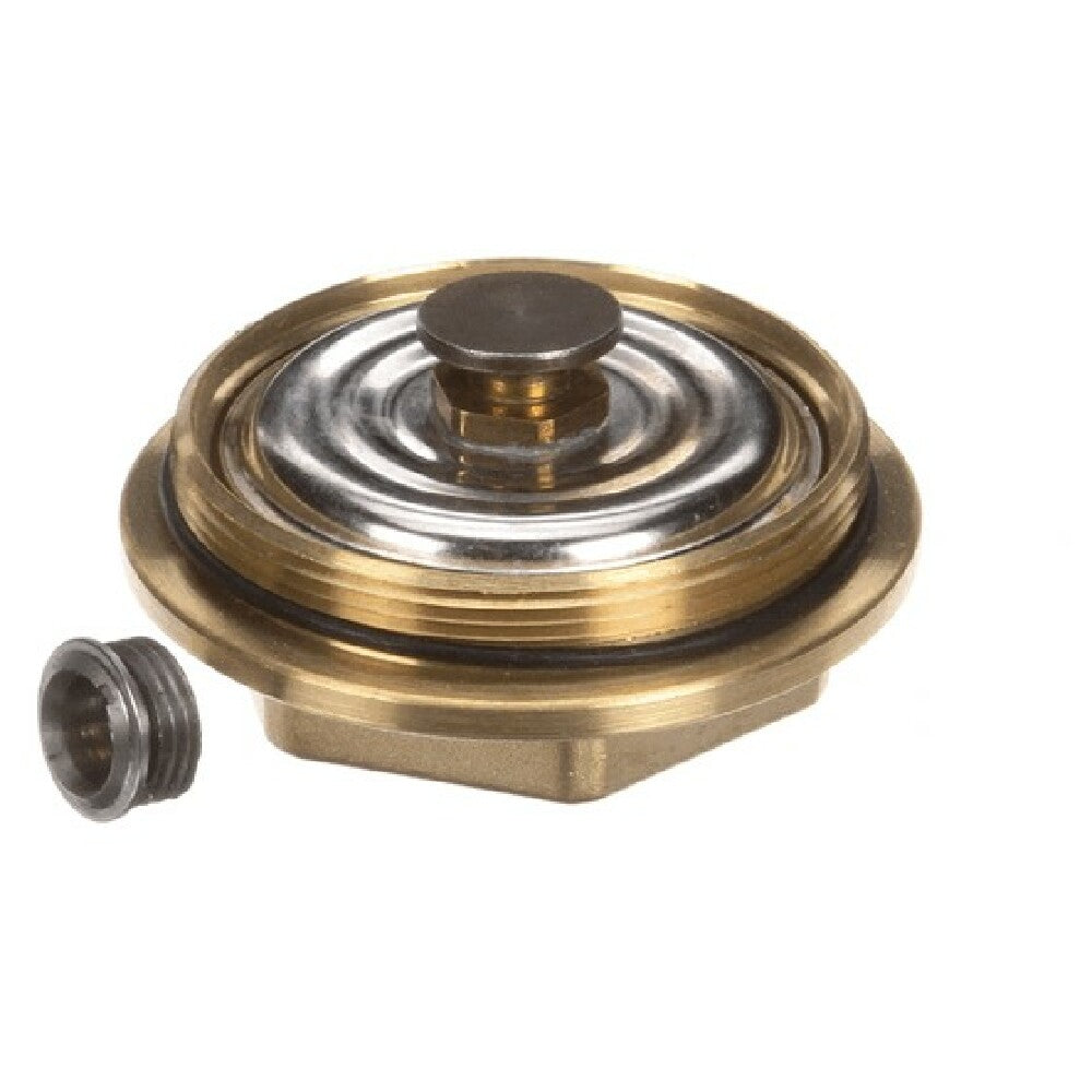 AllPoints 561447 Steam Trap Repair Kit Kit