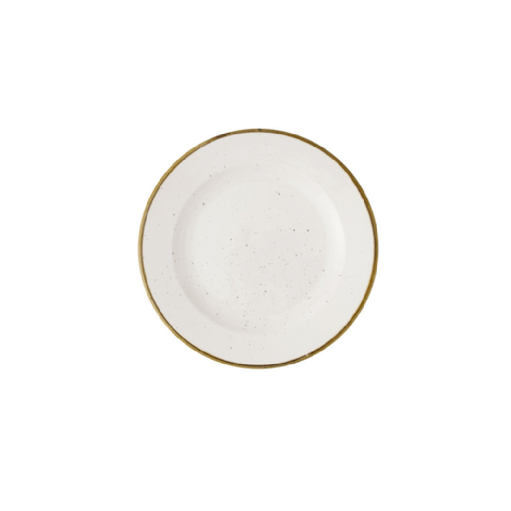 Churchill China SWHSVP101 - Plate, 10 1/4" Dia., Round