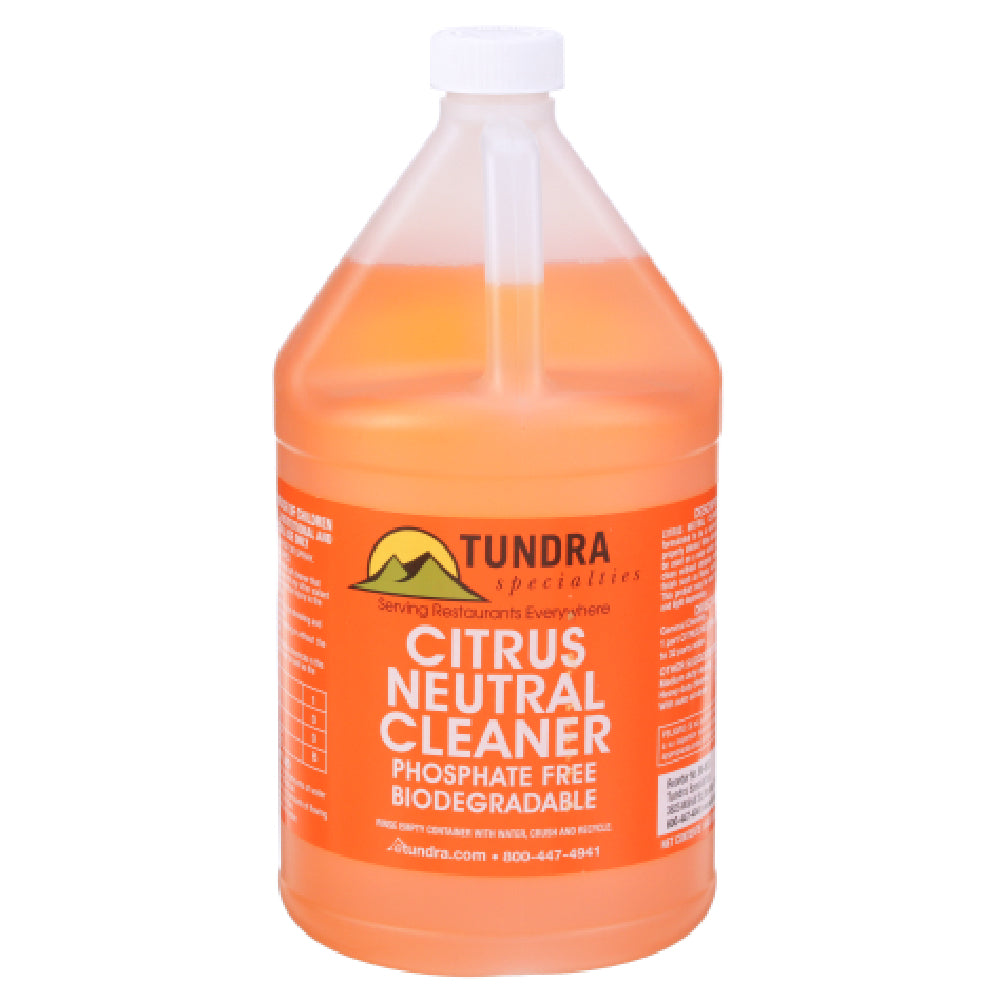 AllPoints 58303 Ormd Cleanr Citrus Ntrl