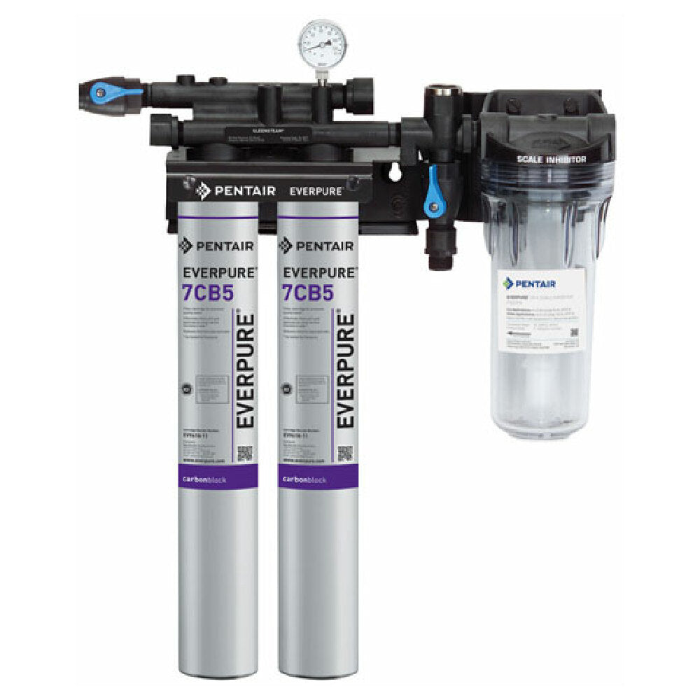Everpure EV9797-22 Kleensteam Ii Twin System