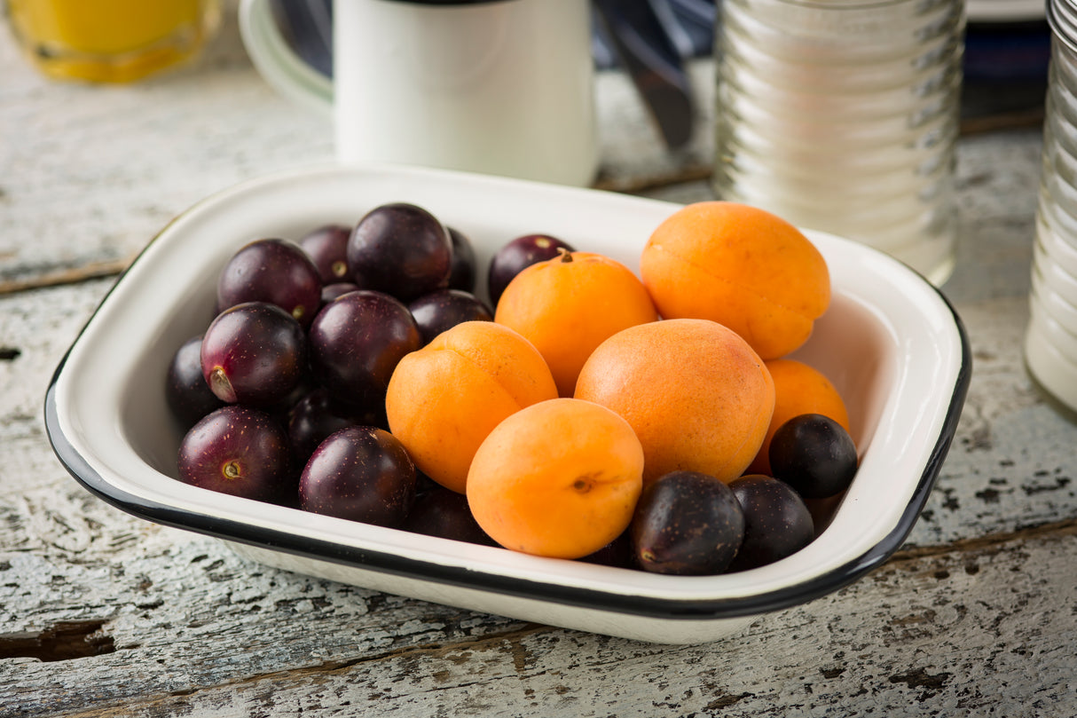 A white porcelain enamel coated steel Enamelware serving pan filled with fresh dark purple plums and bright orange apricots sits on a rustic white wooden table. Blurred mugs and jars are visible in the background.