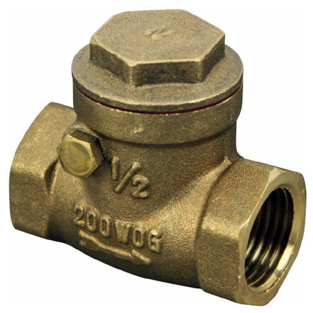 Frymaster 8100430 Vlve Swng Check 1/2 Prt Flt