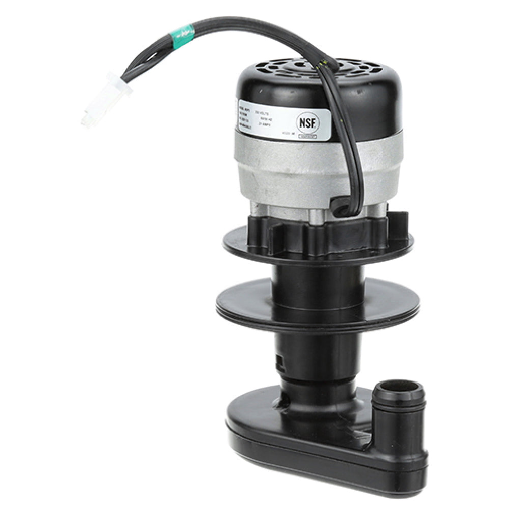 Manitowoc 8251139 Water Pump 230v/60hz