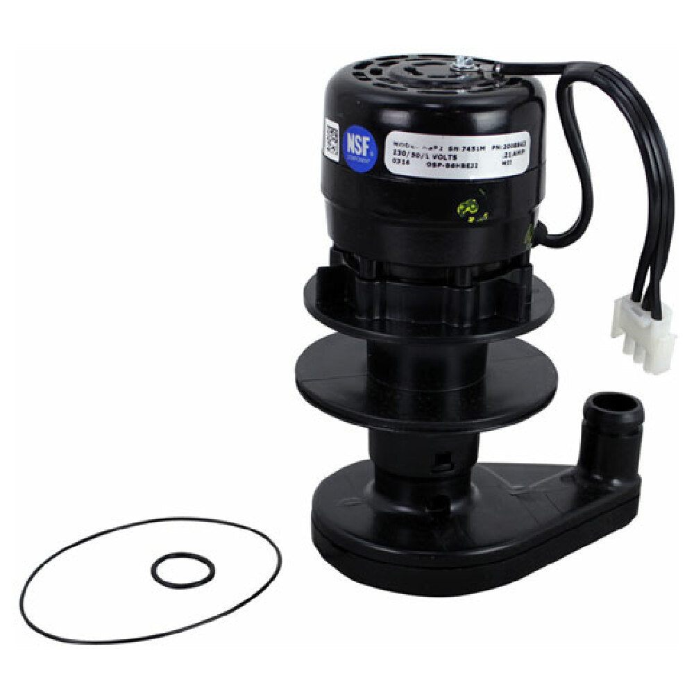 Manitowoc 20-0894-9 Water Pump 230v