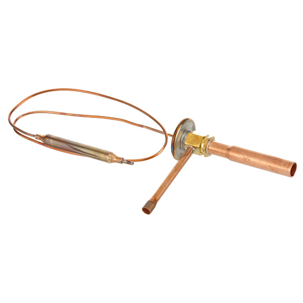 Hoshizaki 4A1684-02 Valve Txv