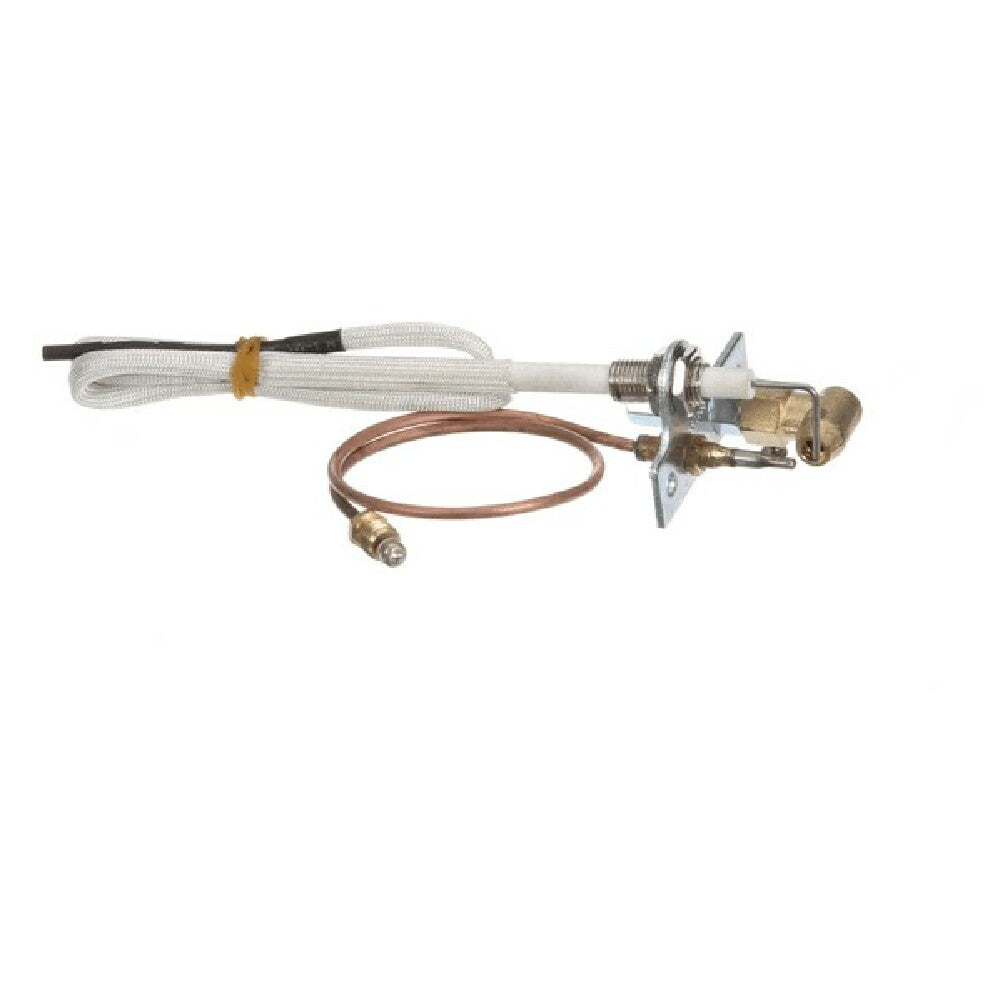 Globe U00677 Pilot Assembly