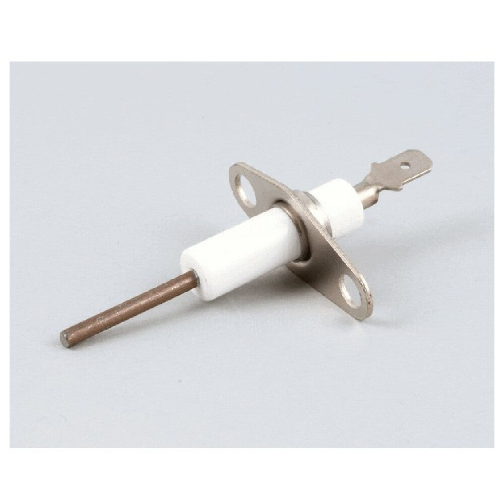 Aaon Inc. R86790 Probe Flame Sensor