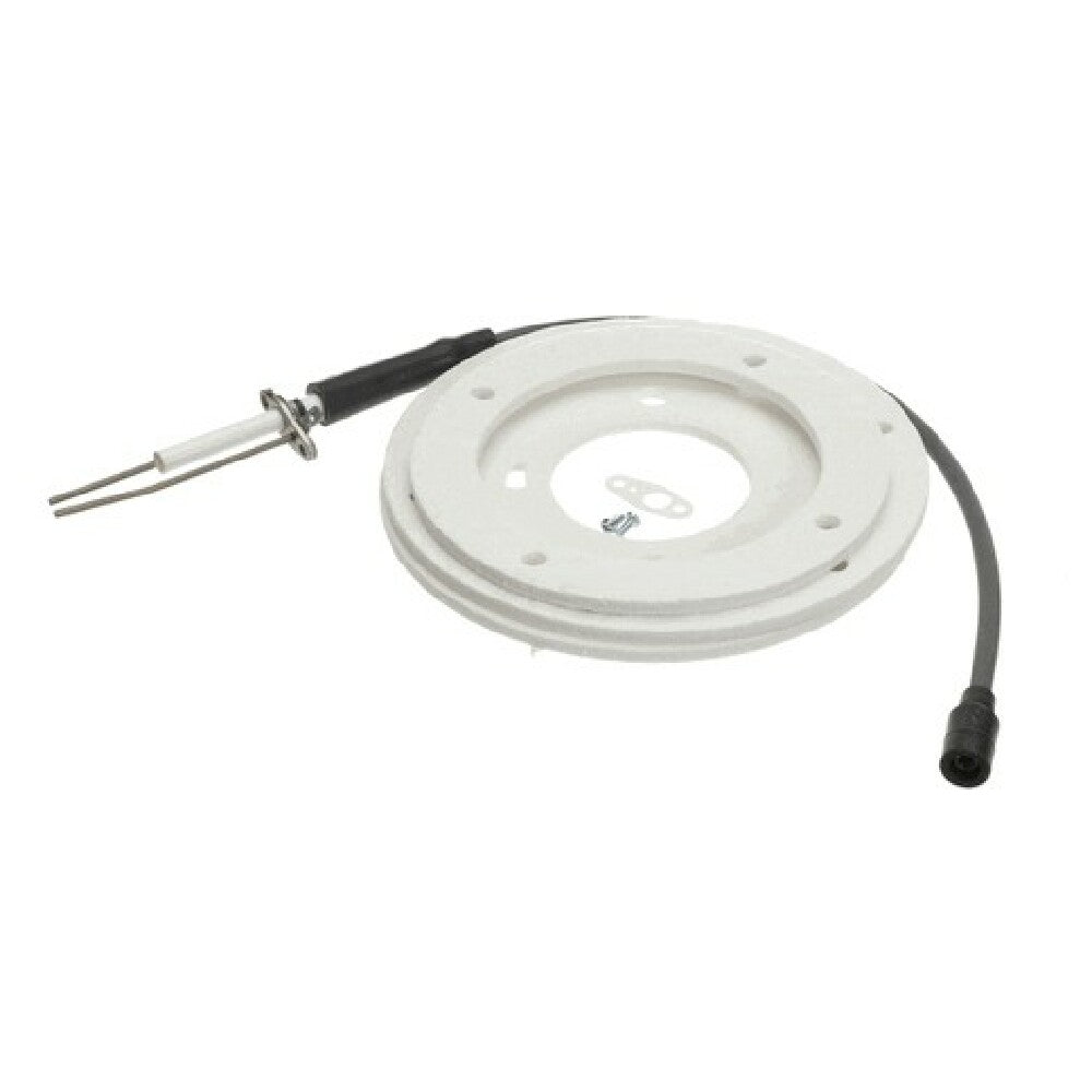 A.O. Smith 100191120 Ignitor