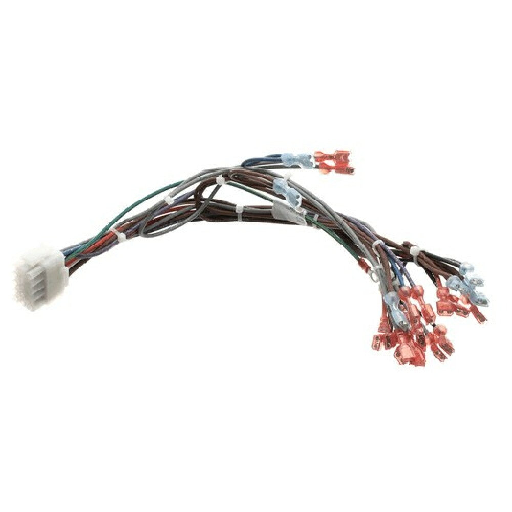Blodgett 57481 Harness Frt Neeo Man