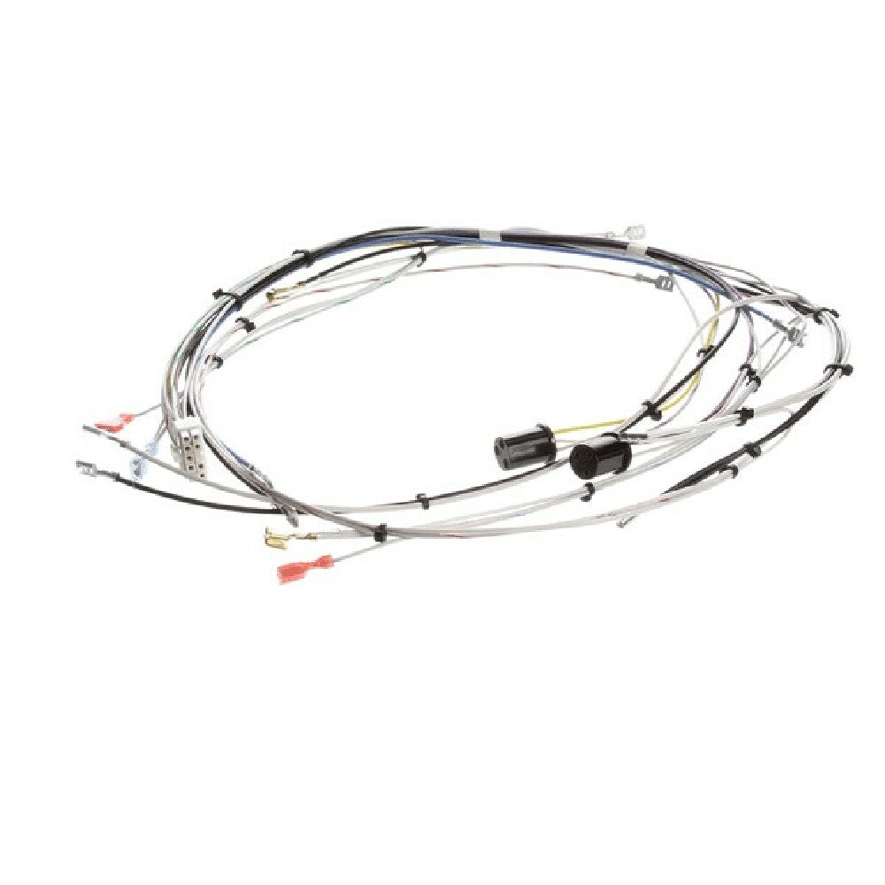 Bunn 29072 Wiring Harn Main Cdbc 120v