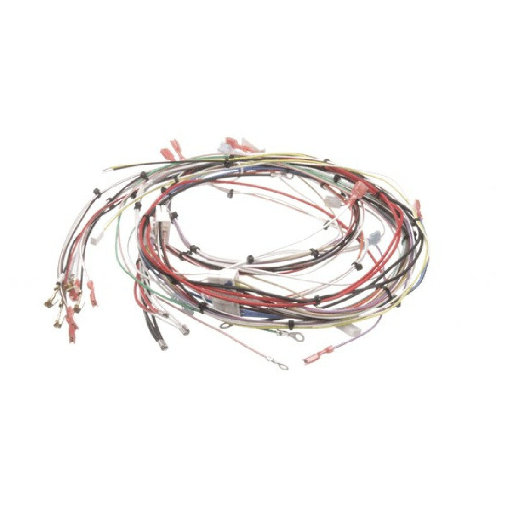 Bunn 33634.0001 Wiring Harness Main Dual Sh