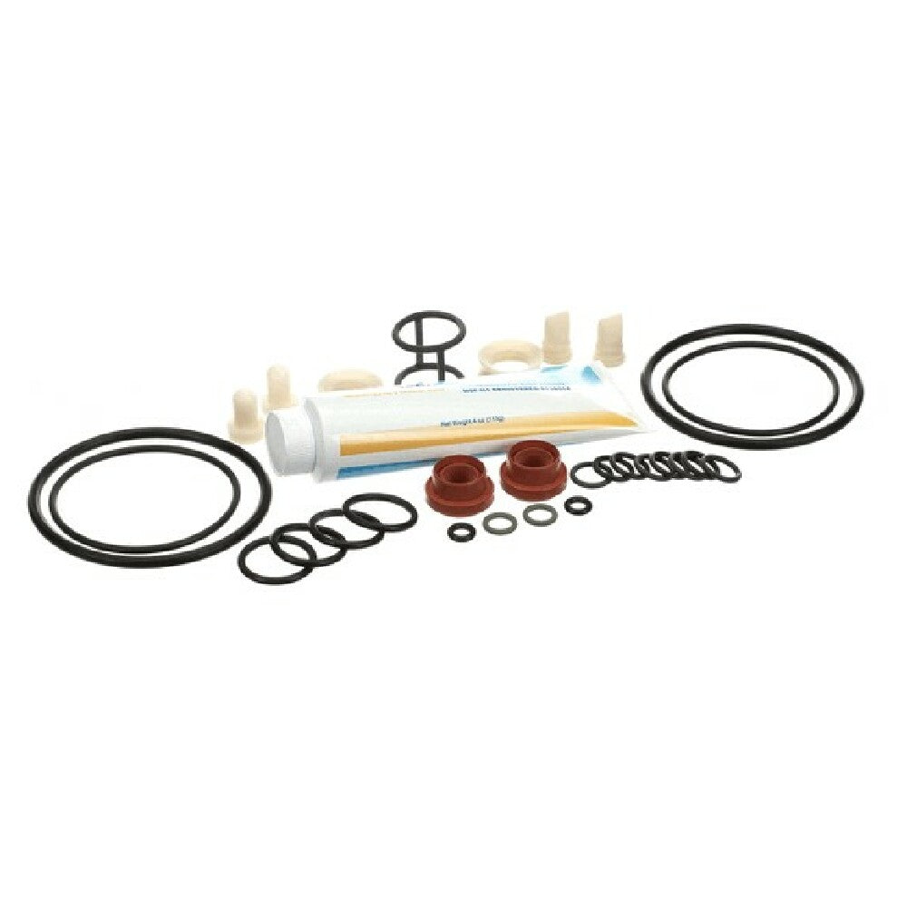 Carpigiani ICA5555750 Tune Up Kit Minor Uc1131p