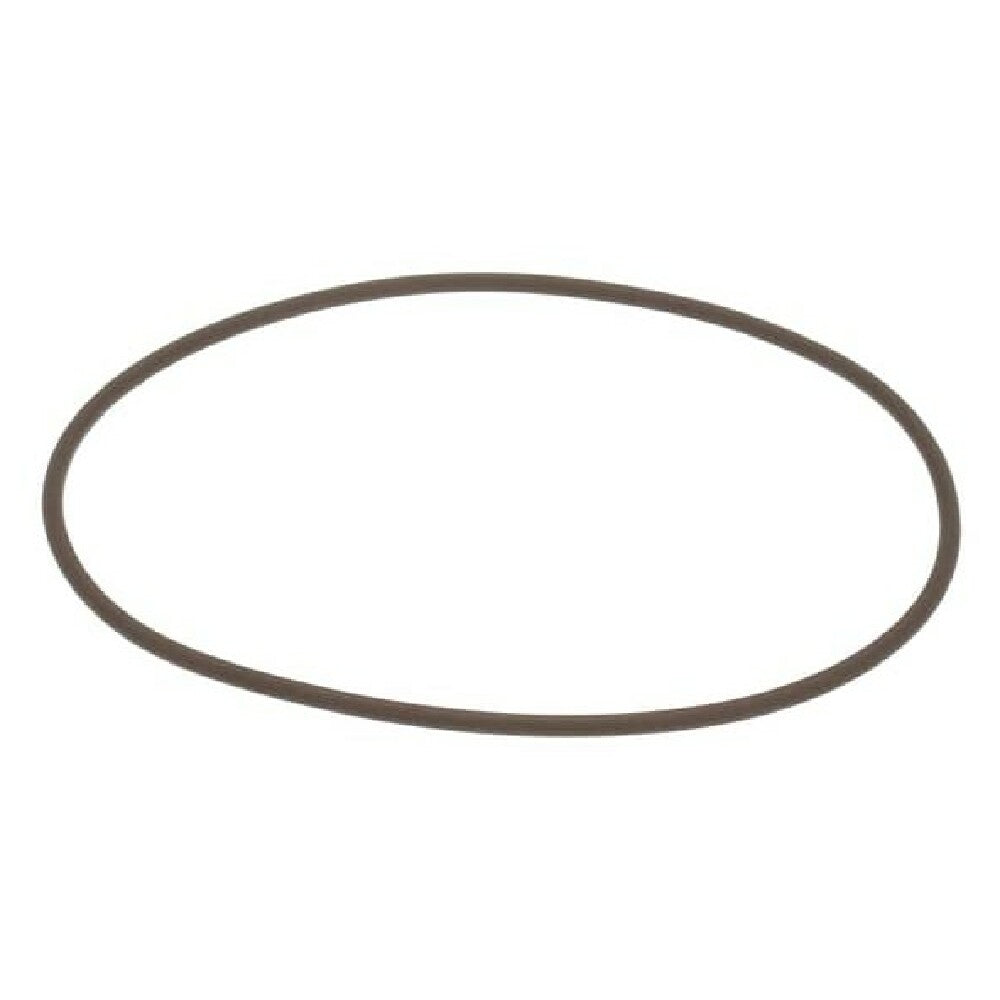 Champion 115231-6 Aux Rinse Pump 38399 O Ring
