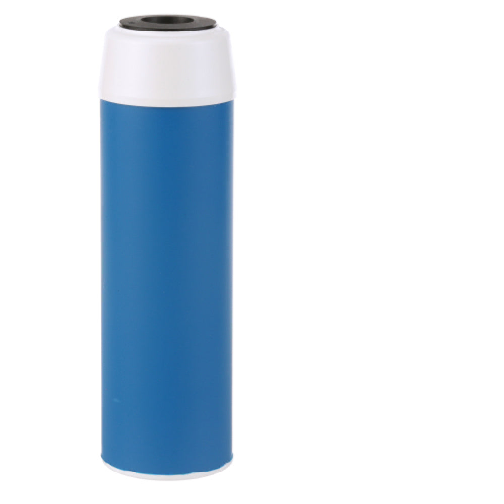 Everpure EV910813 Cgt 10s