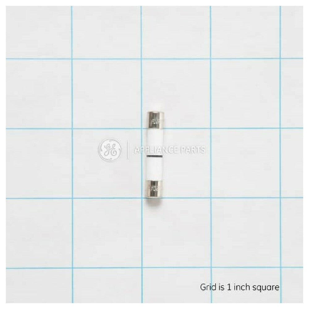 General Electric WB27X10928 Fuse