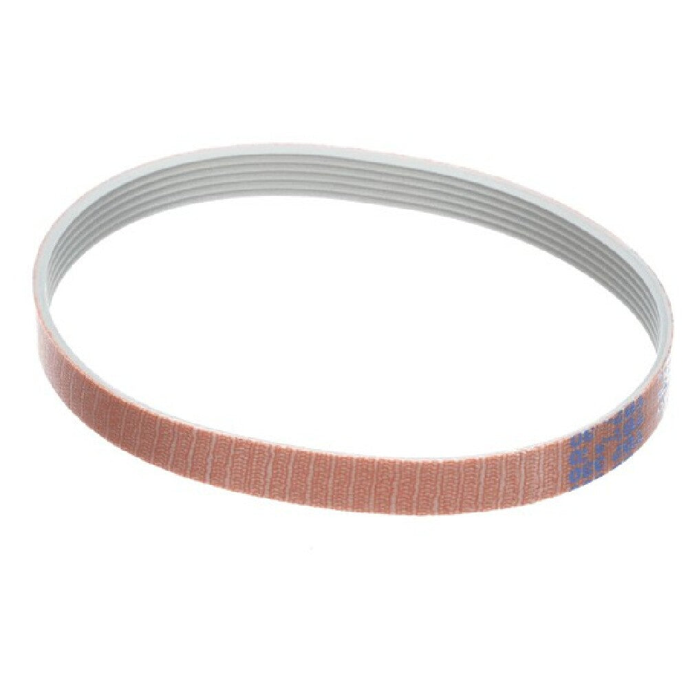 Globe MCA51 Belt(c9)