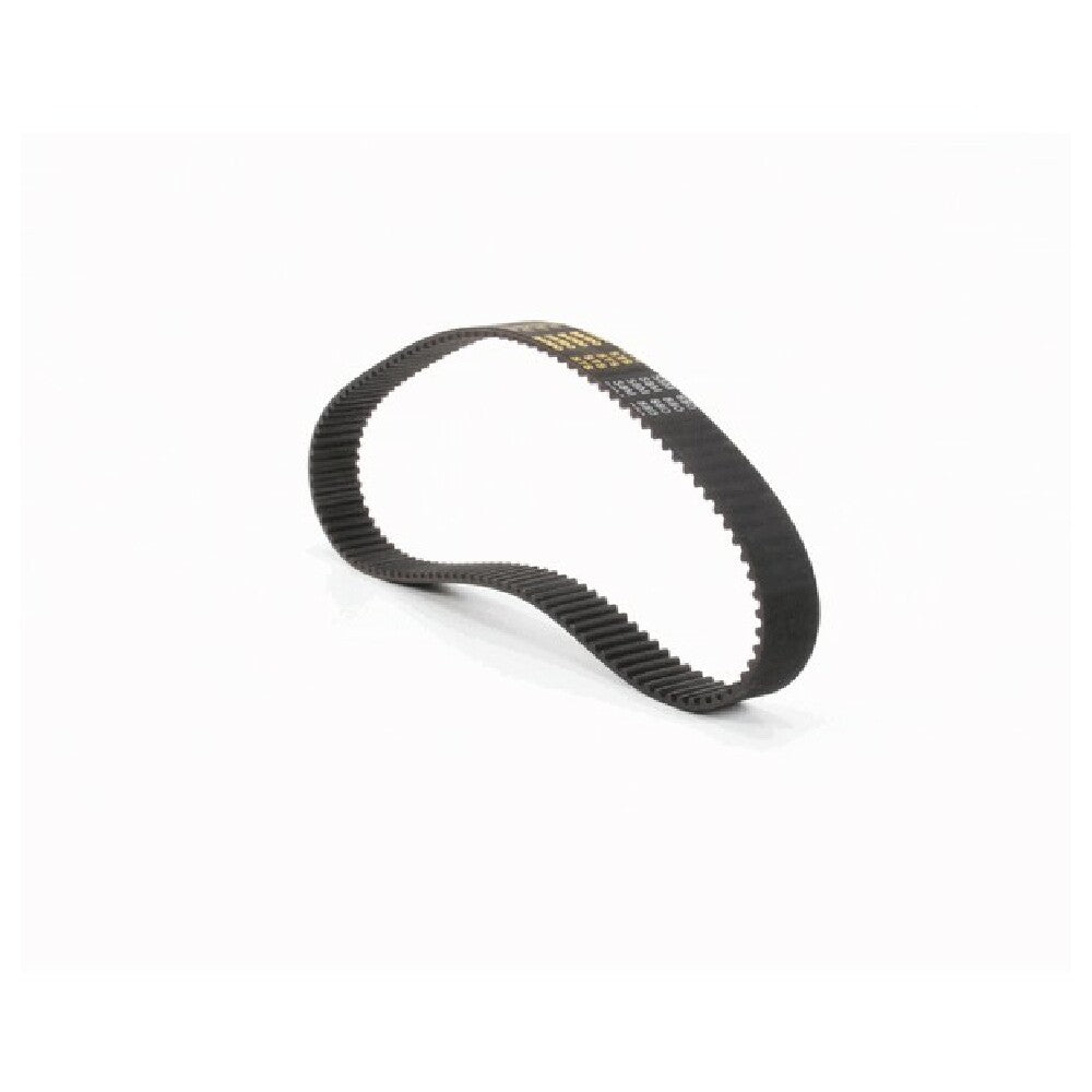 Globe X40072-2 Drive Belt (s8m 896)