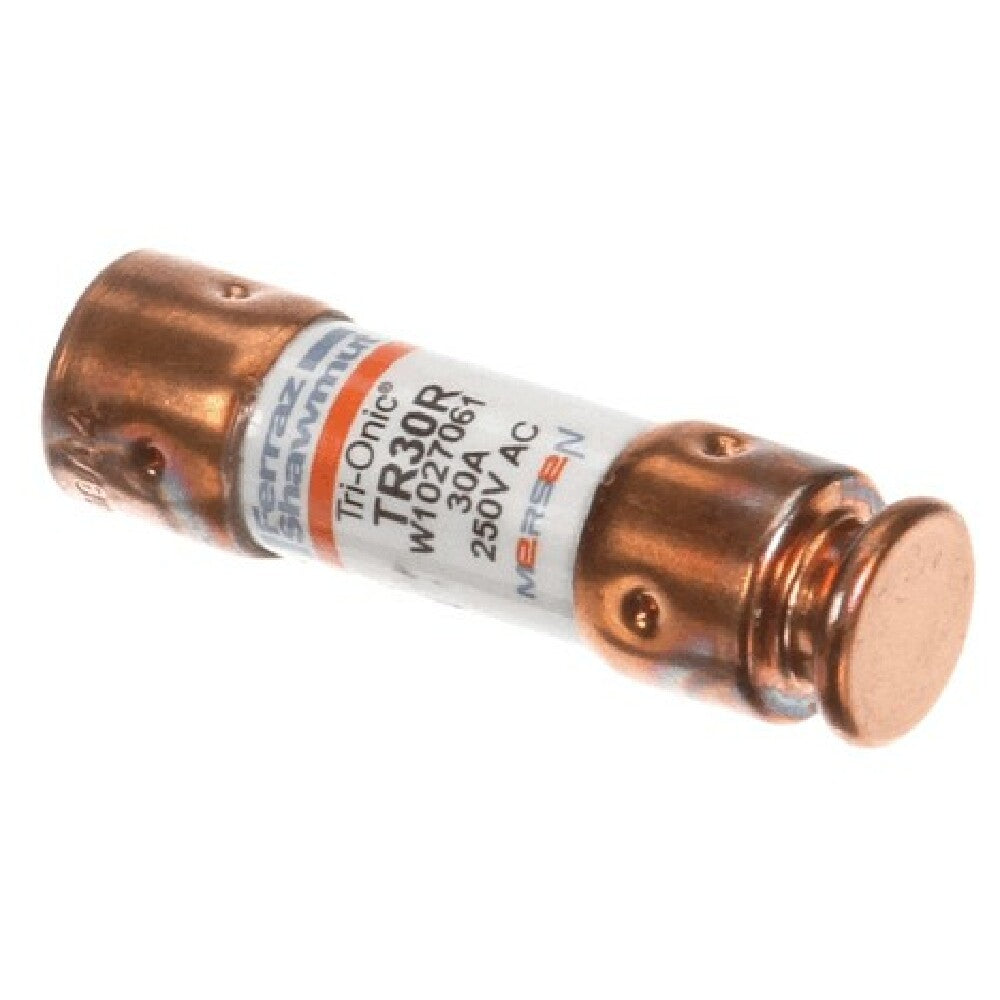 Grindmaster CA36A Fuse 30 Amp 250v (m150) Fs Ef