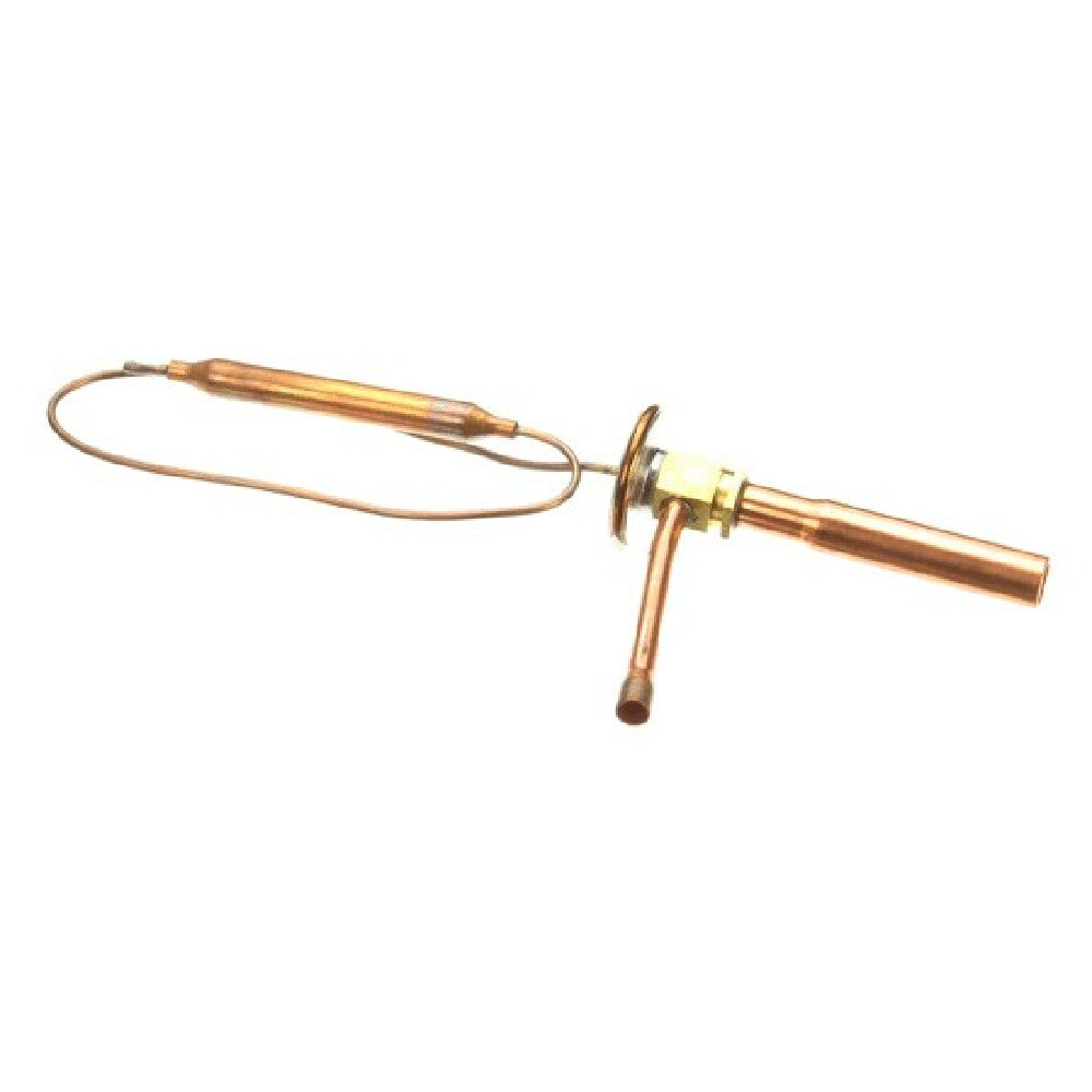 AllPoints 8081105 Expansion Valve (