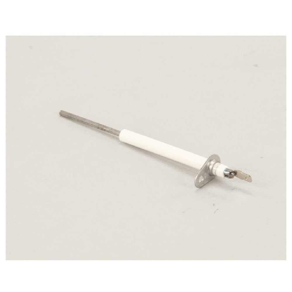 Lang 2E-41100-36 Sensor Flame Probe Ocg