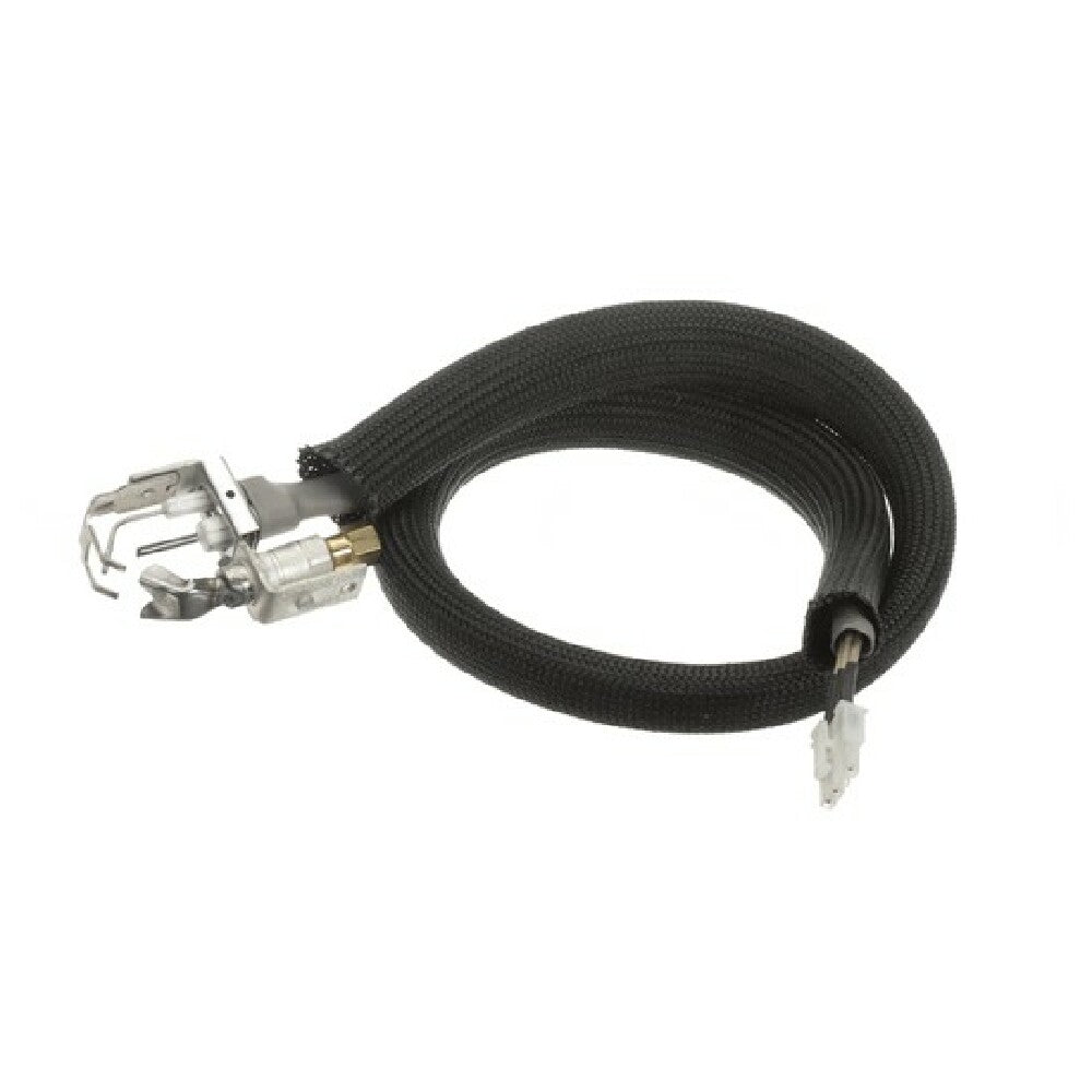 Legion 455946 Pilot Burner Ignitor Sensor