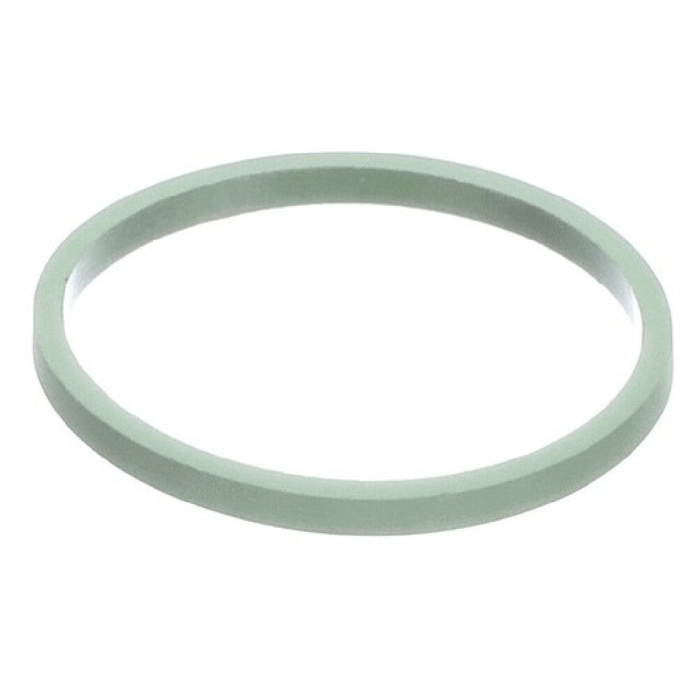 Multiplex 3239817 Seal Filter Strainer