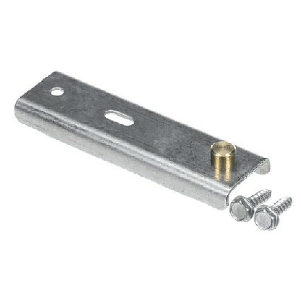 Randell RP HNG0601 Top Hinge With Brass Pin For Rp Hng028