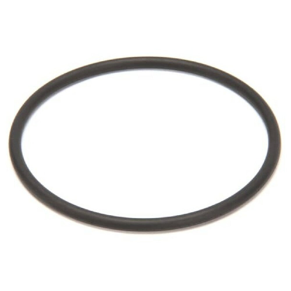 Saniserv 541098 Oring Outlet Mix Door