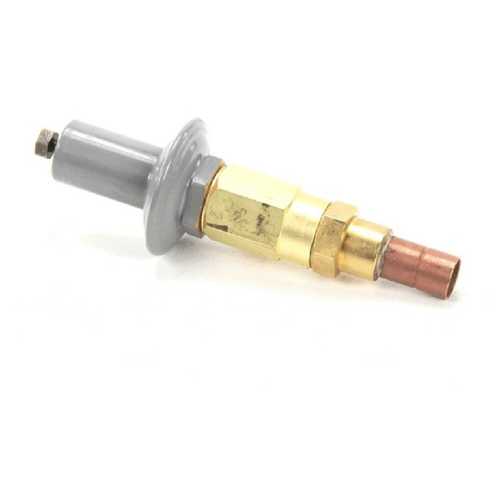 Saniserv 71042 Valve Auto Expansion