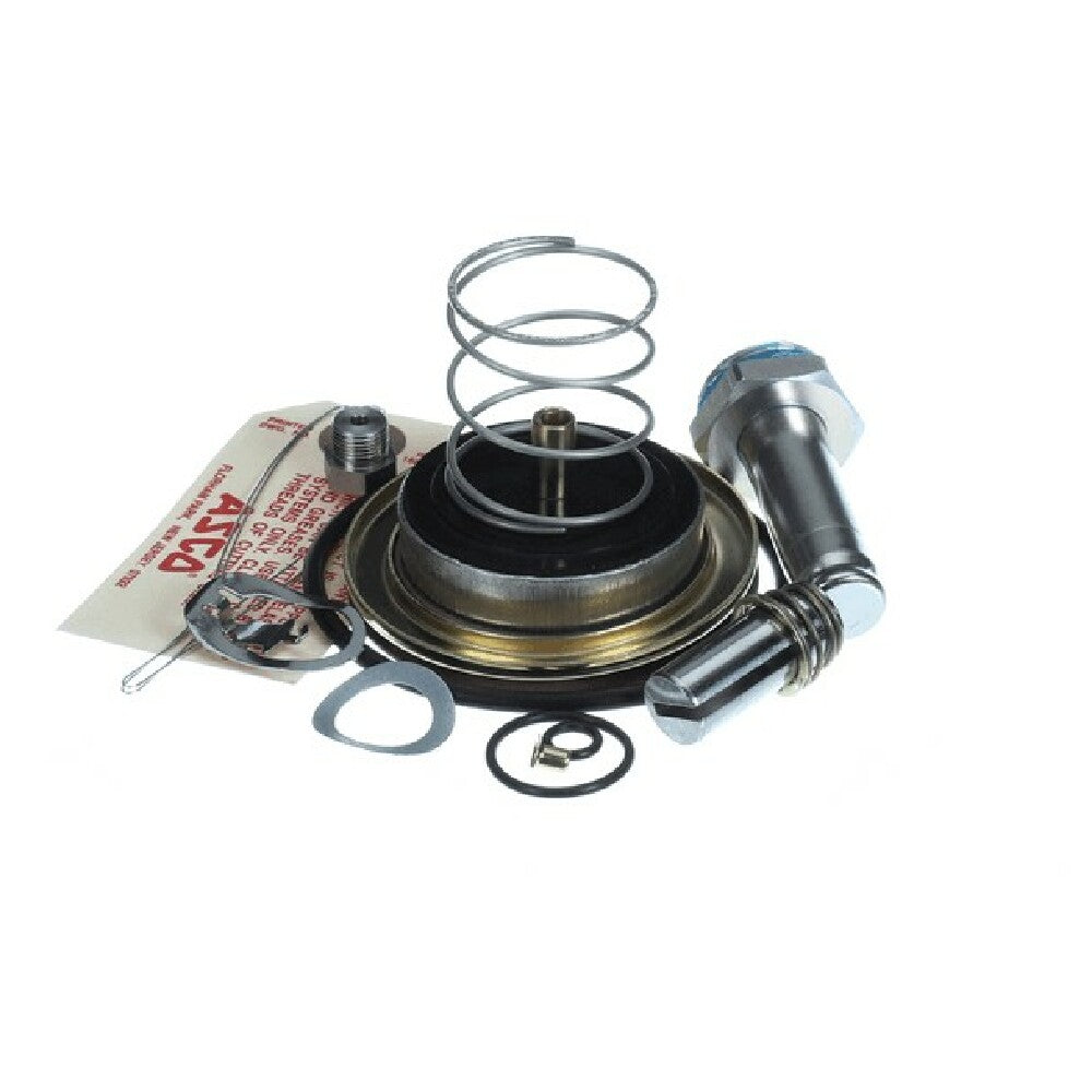 Stero P54-2829 Repr Kit 1 1/4 Valve Steam