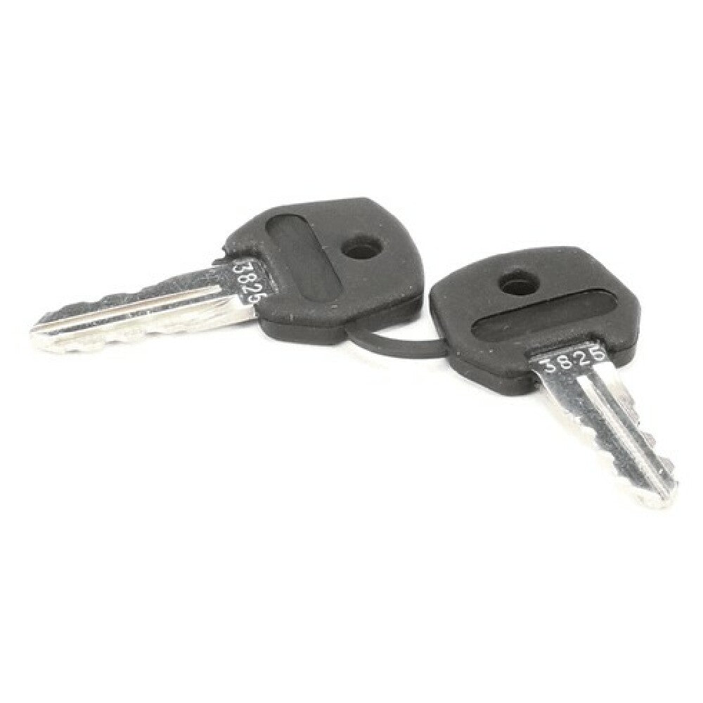 Stoelting 719102-KY Keys For 2 Pos Switch 719 102