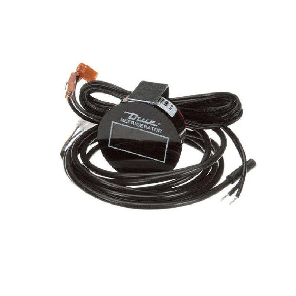 TRUE 980209 Thermometer 20dt U 4fo N6u 2.0