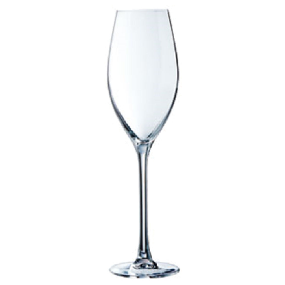 Arc Cardinal E6250 Champagne Flute Glass 8 Oz. Glass