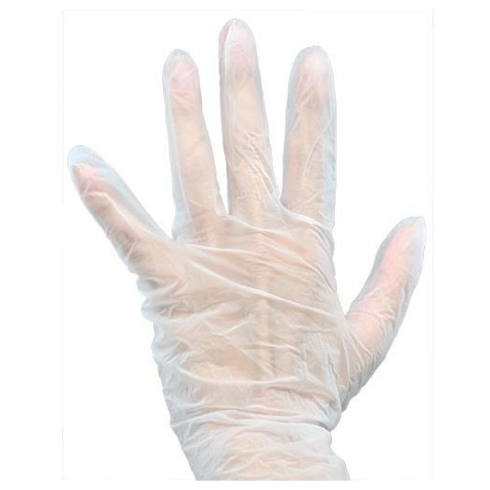 AllPoints 2801962 Lg Vinyl Pfree Glove 100/bx