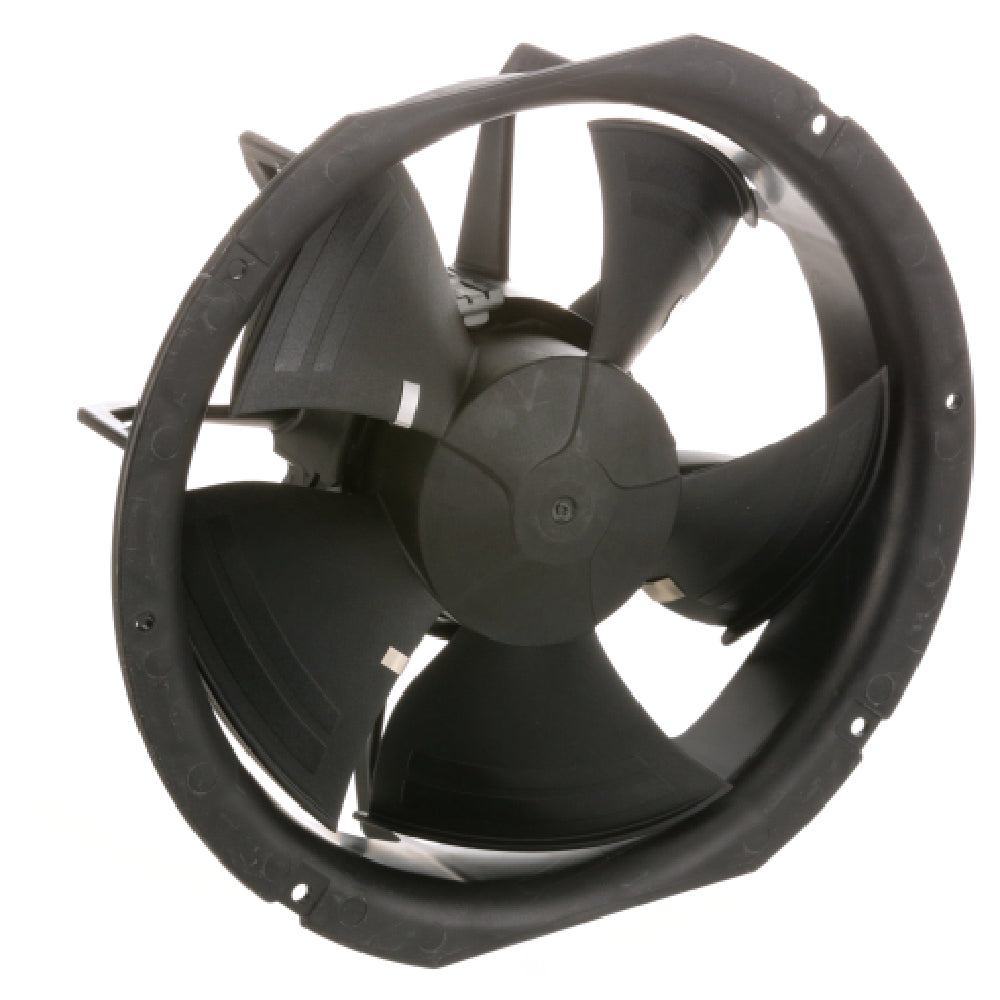 TRUE 952207 Prog Motor
