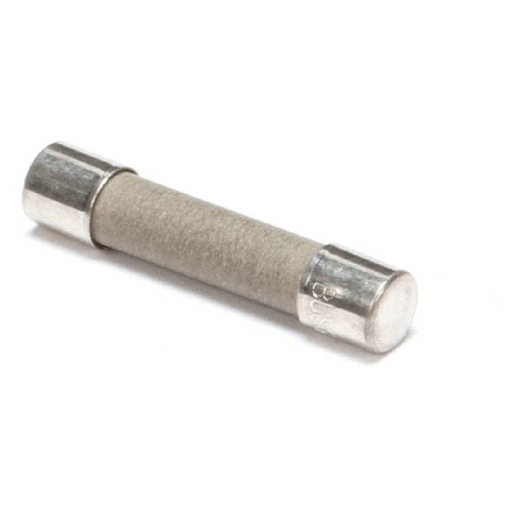 Manitowoc 2511493 Fuse 10 Amp