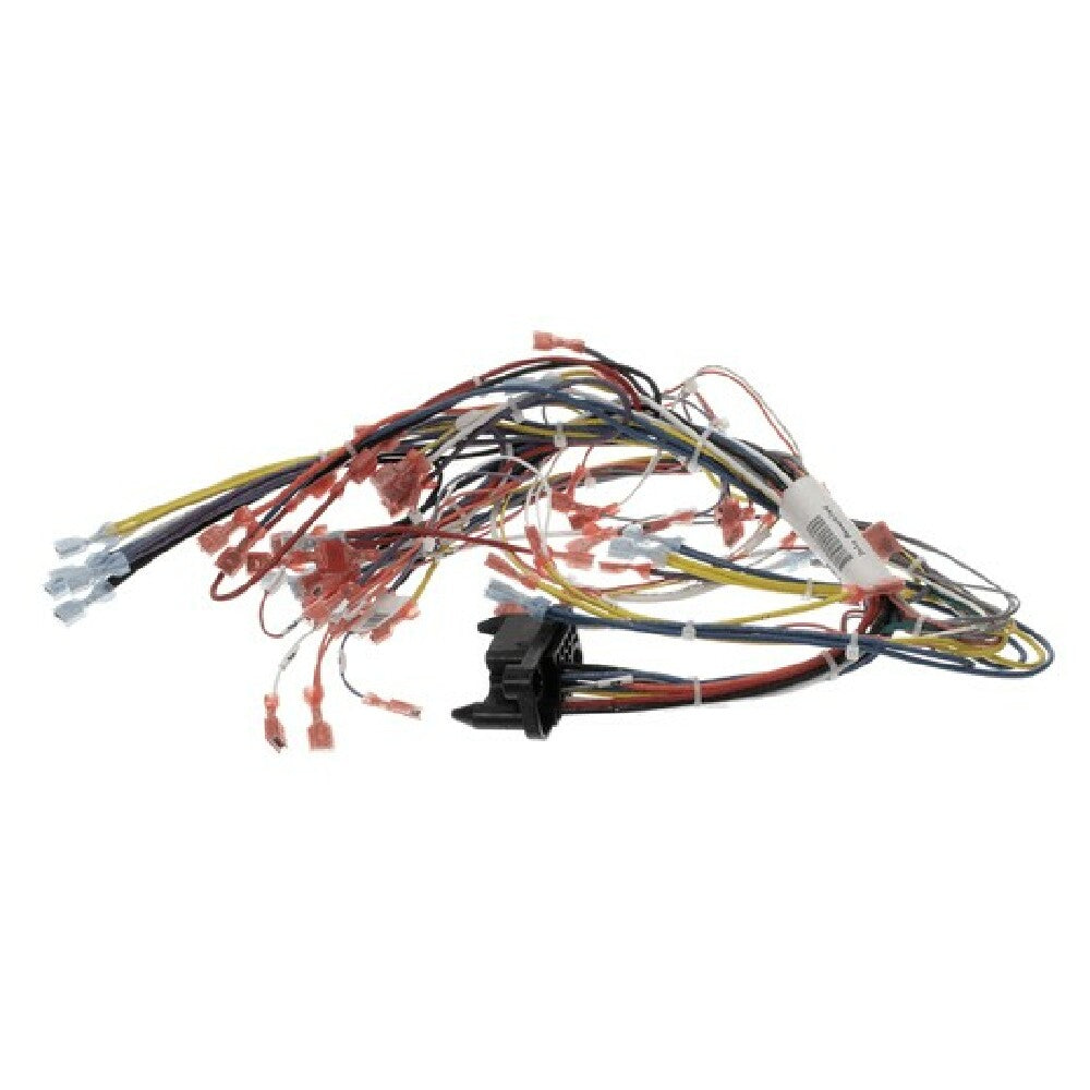 Blodgett 39836 Harness Infinite Wire