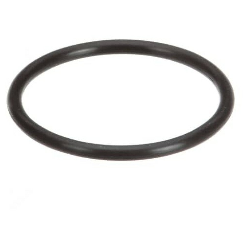 Groen 133711 O Ring For Pump Seal